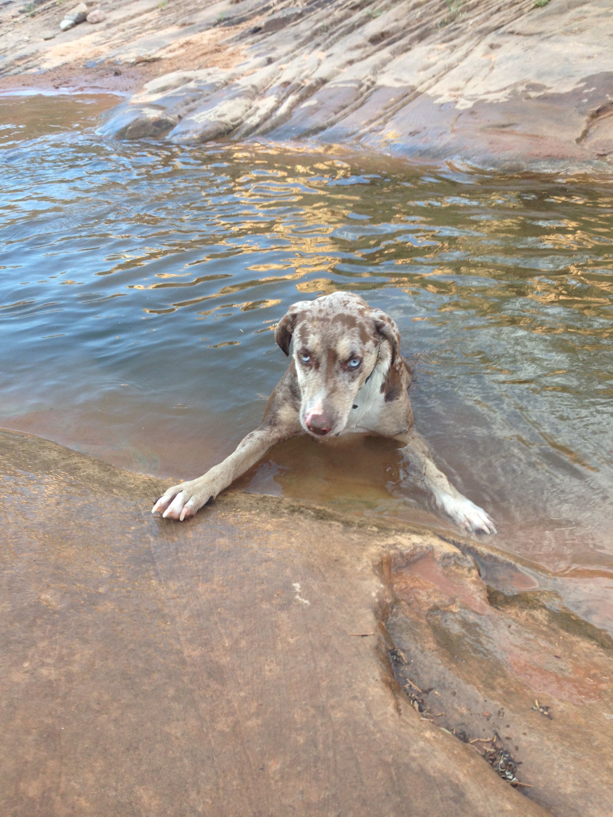 Emma fell in the water.