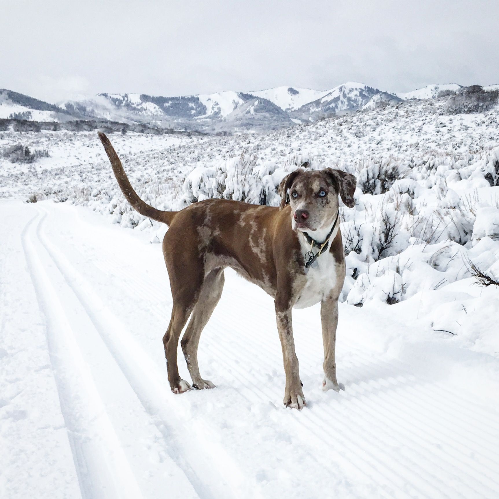 Emma in the snow