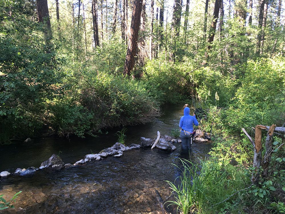 Creeking in Central Oregon