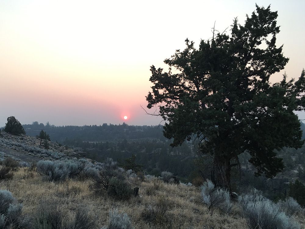 The sun through wildfire smoke