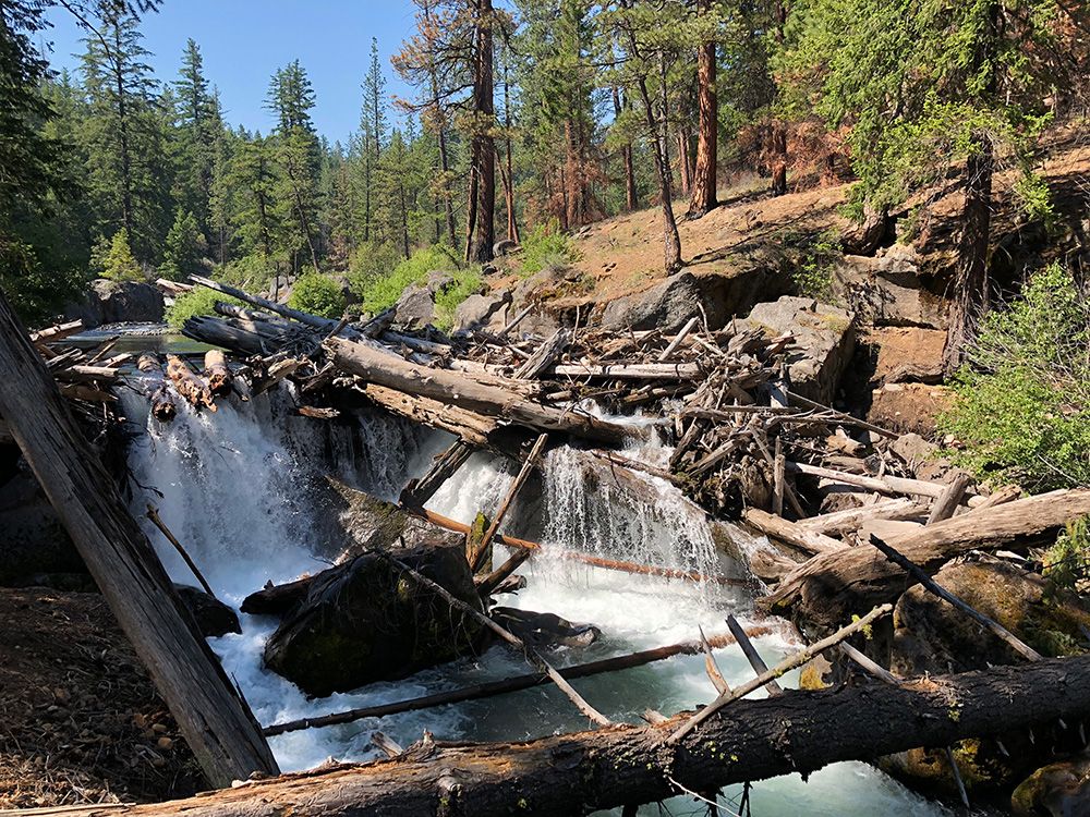 A waterfall on Wychus Creek