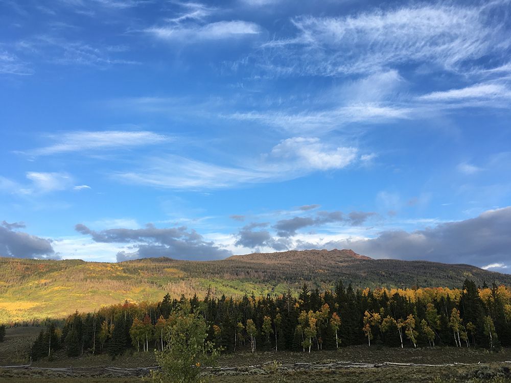 Fall colors and a view of Mount Terrill