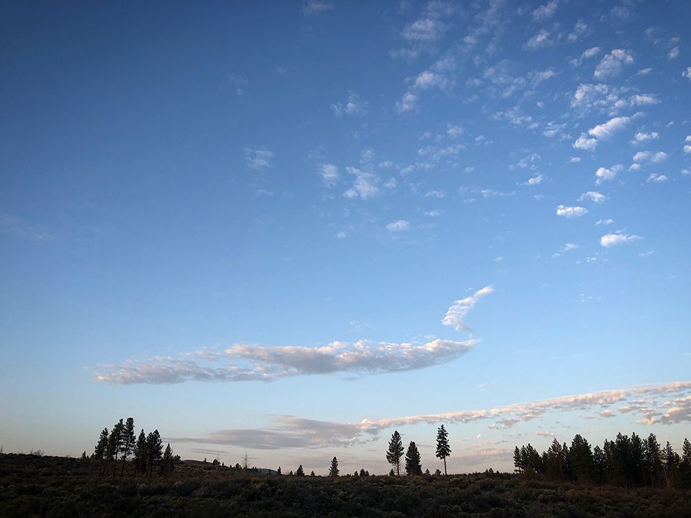 Swan cloud in the sky in Central Oregon