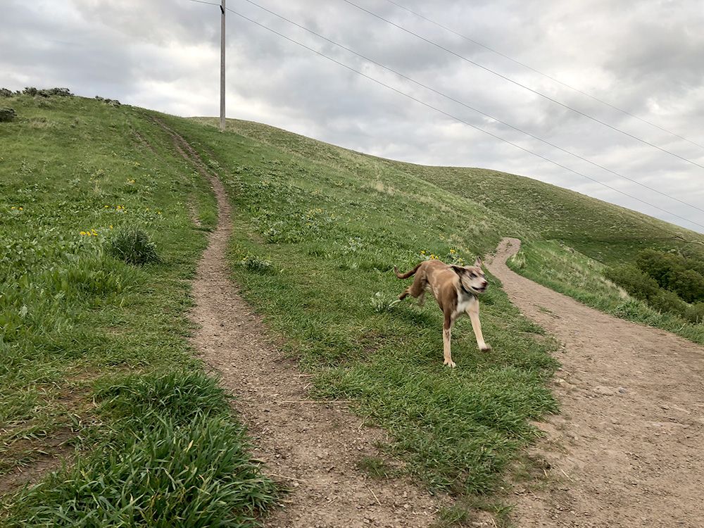 Emma running fast and free