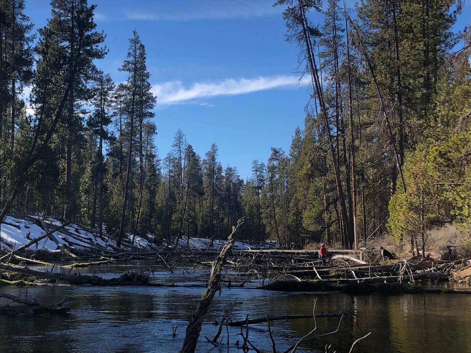 fly fishing in February