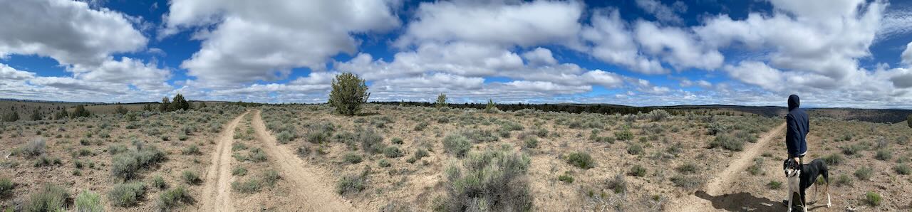 Wilderness Study Area in Central Oregon