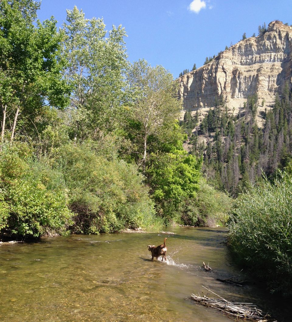 The pinnacles of Strawberry Creek.