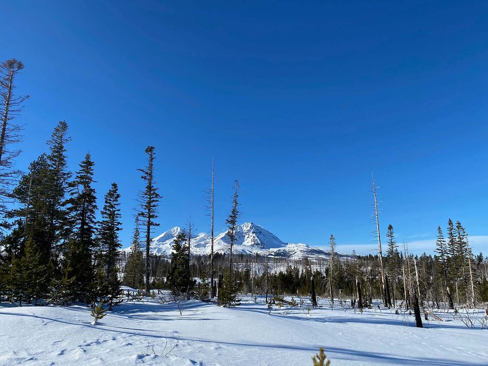 View of North Sister