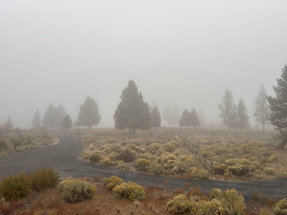 Foggy day in the neighborhood.