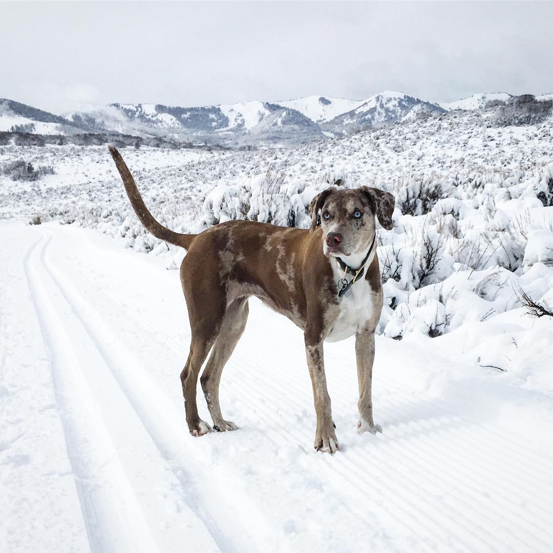 Emma in Park City