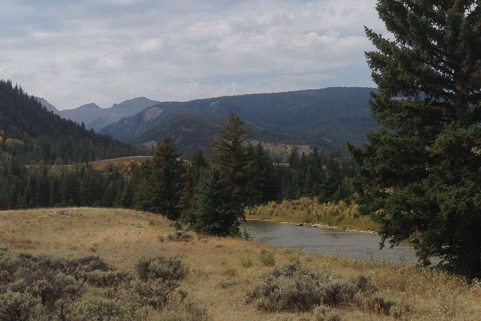 Trout filled river in Wyoming.