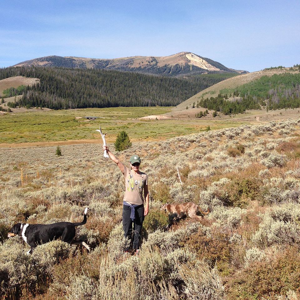 Off-trail elk antler score in Wyoming. 