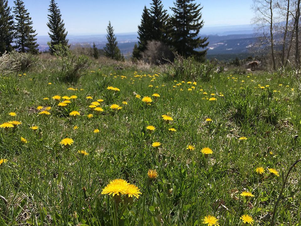 South Central Utah Adventure Extravaganza