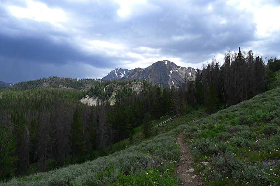 mountain biking near stanley, idaho