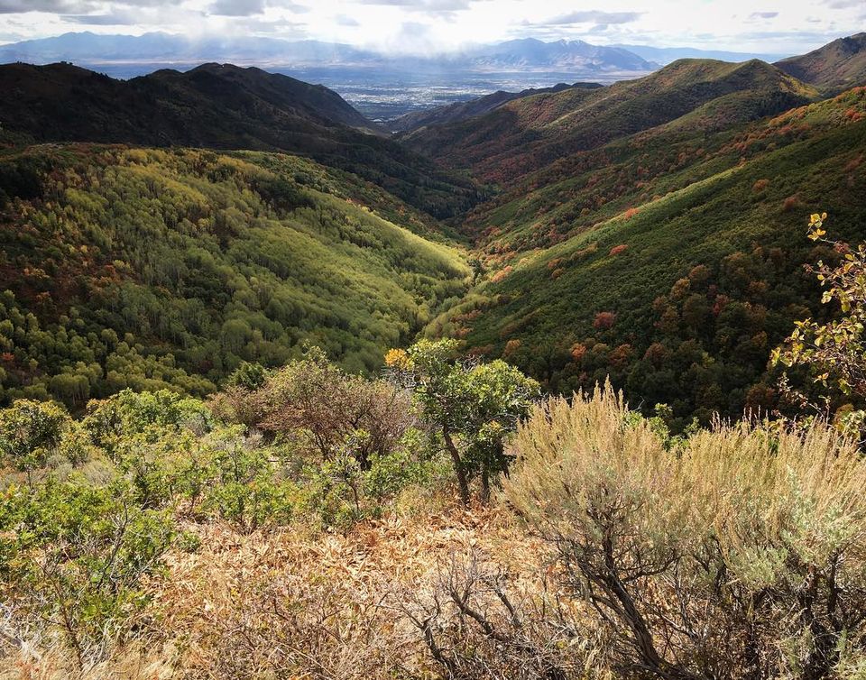 Hiking above Red Butte canyon. It was sunny and graupeling!