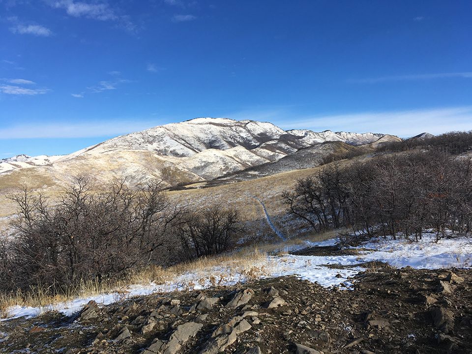 winter trail in SLC