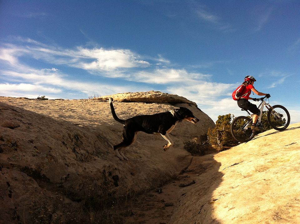 Mountain biking gooseberry mesa