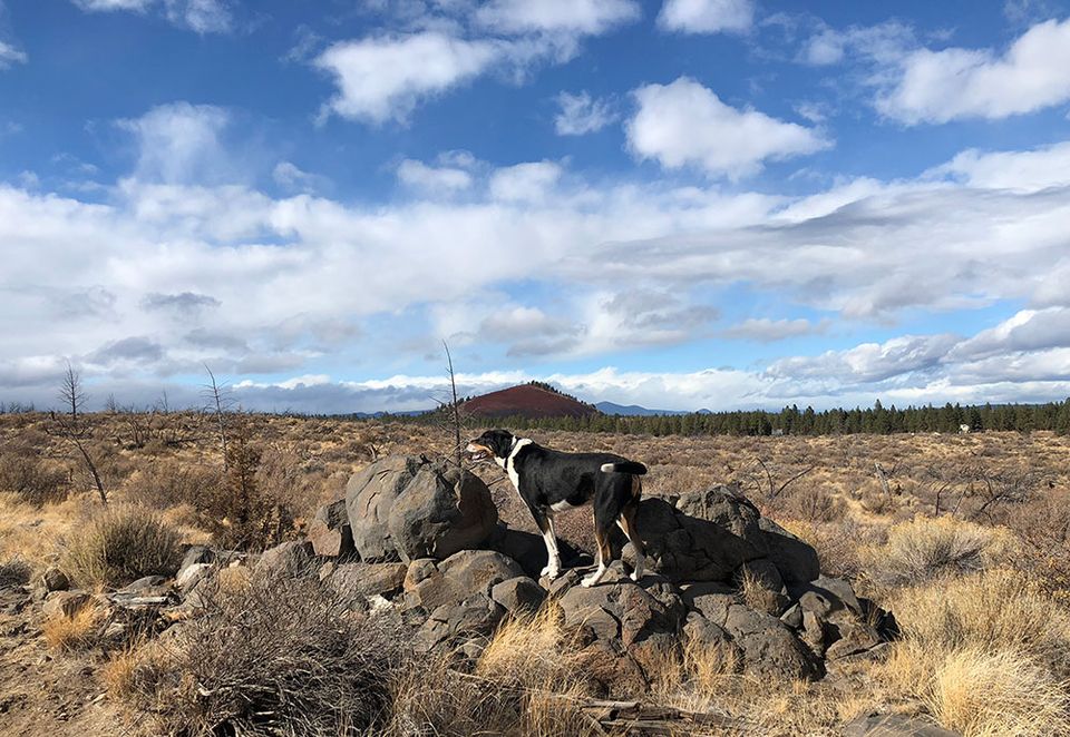 Home on the Range