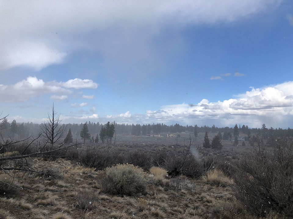 Sun and snow at the same time in Central Oregon, spring.