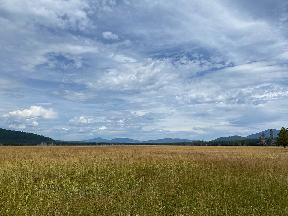 Searching for Big Marsh Creek